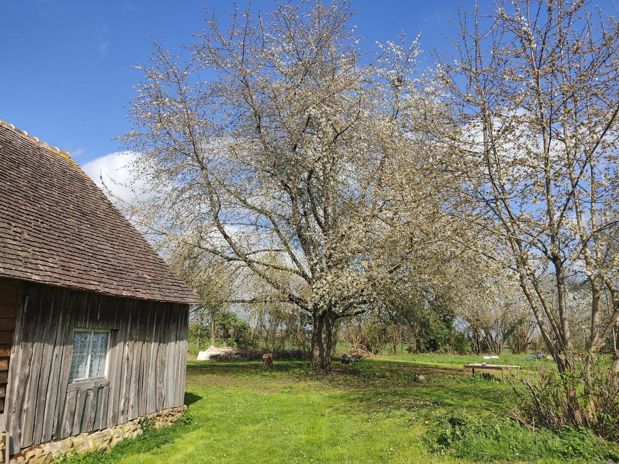 La Valise A Cheval Bed & Breakfast Mezieres-sur-Ponthouin Exterior foto